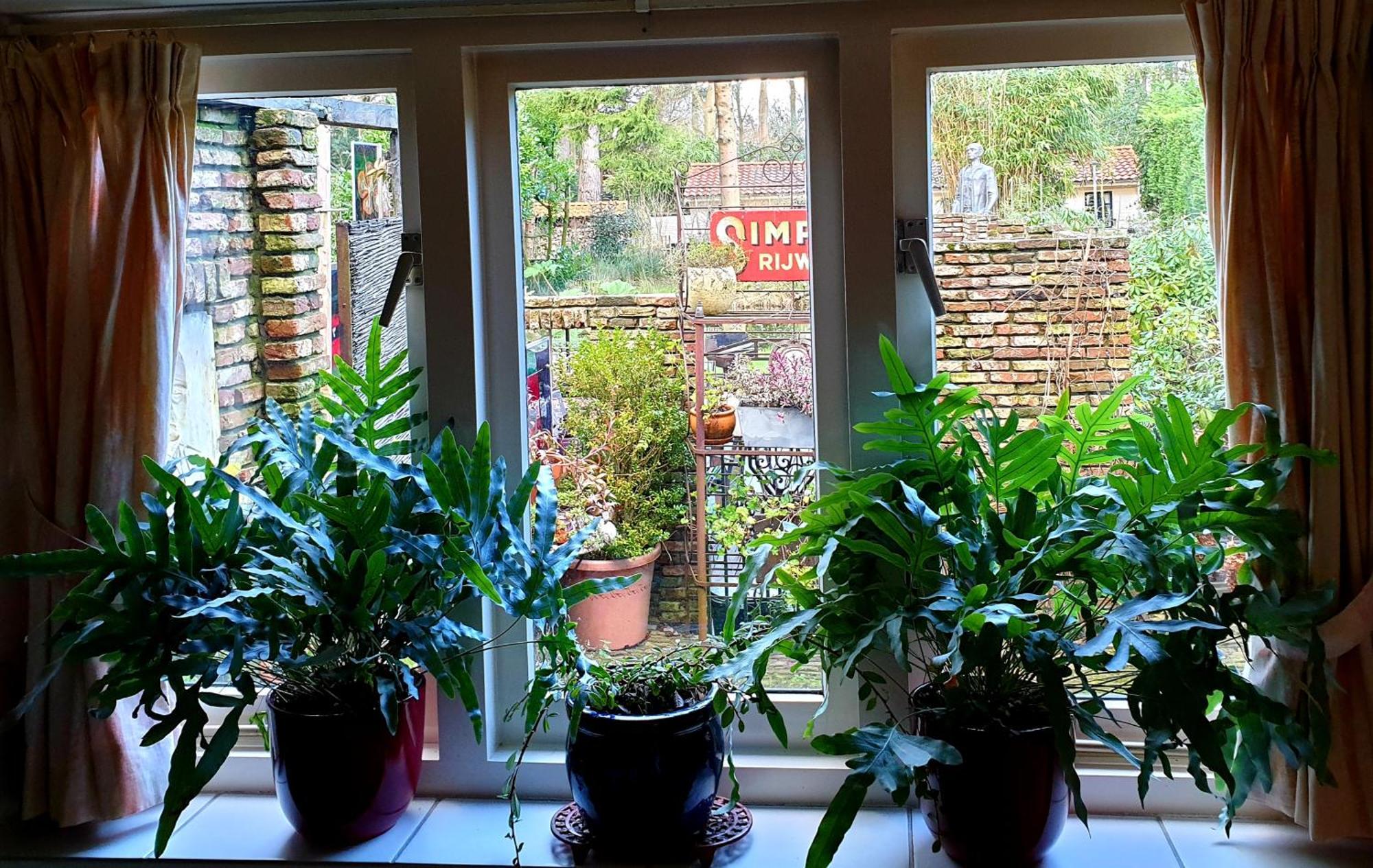 L'Amour Pur Schoorl Room photo