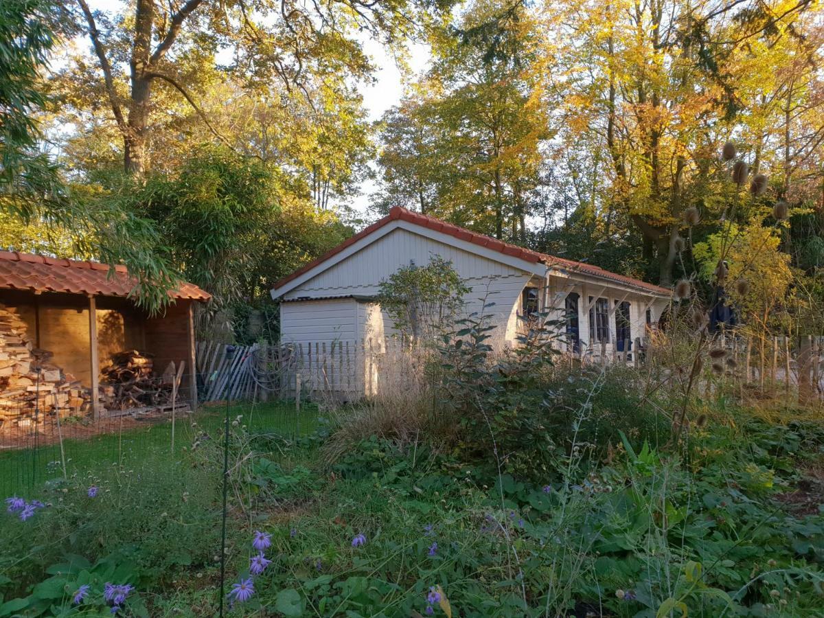 L'Amour Pur Schoorl Exterior photo
